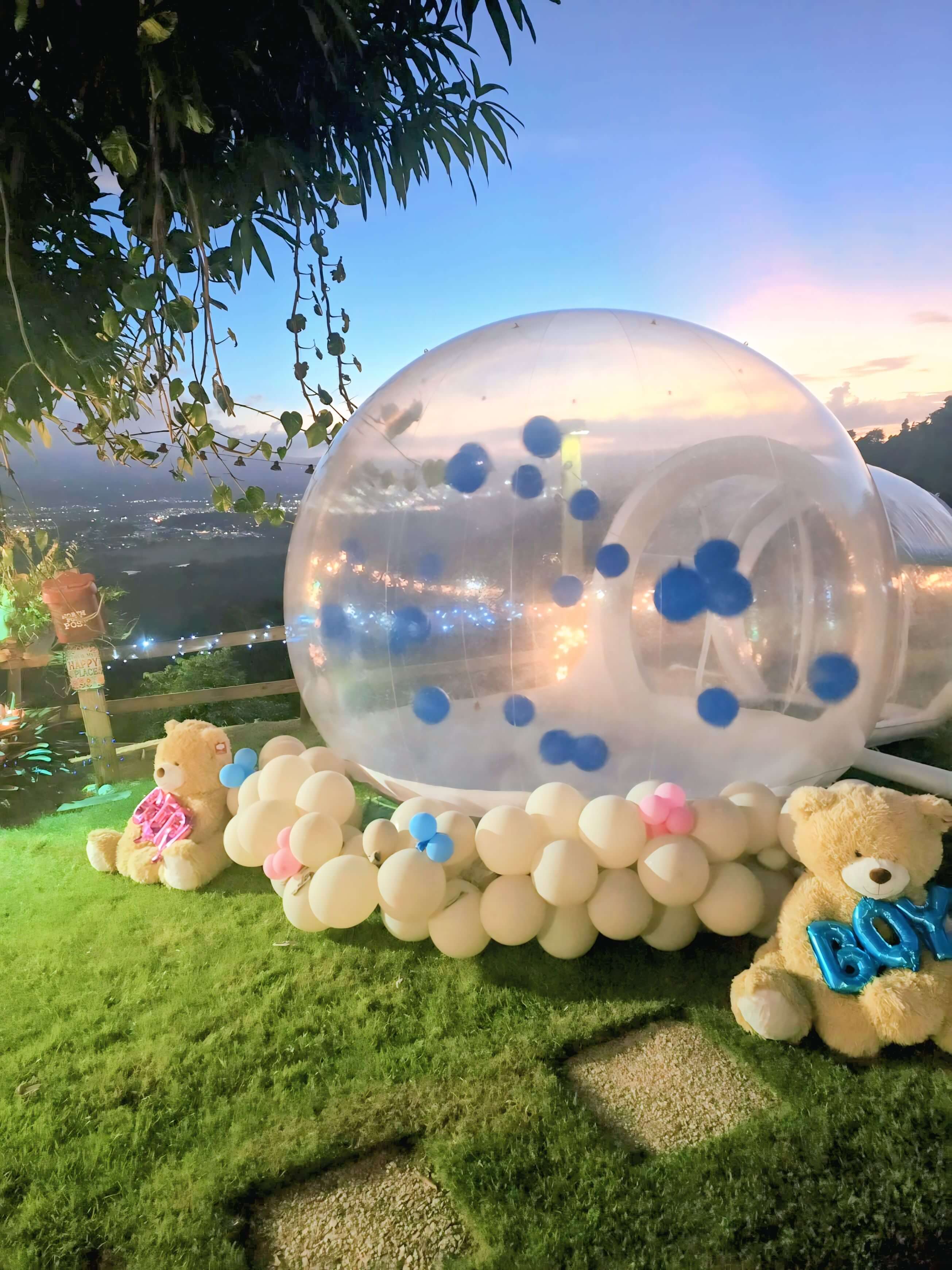 Bubble Dome Gender Reveal — Nexo